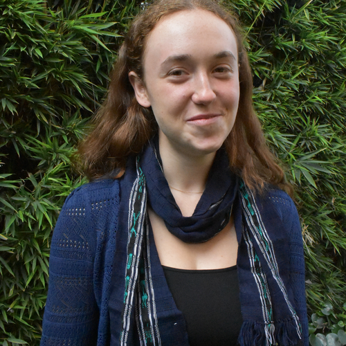 WHOLESALE Dream Unisex Scarf