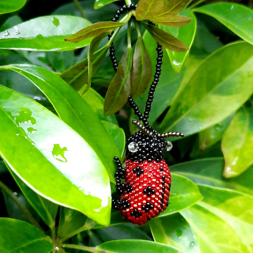 WHOLESALE Lady Bug Ornament