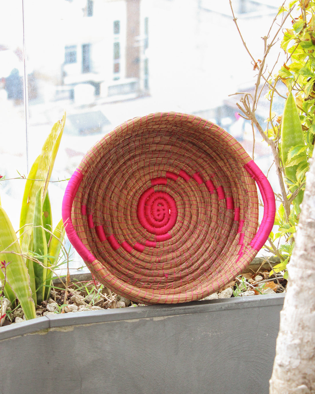 WHOLESALE Fuschia Wave Pine Needle Basket